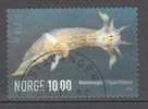 Norway 2006 Mi. 1572    10.00 Kr Meerestiere Animals Of The Sea Streifte Hörnchenschnecke - Usados
