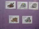 AFRIQUE DU SUD. NEUF 5 Timbres 1988 PLANTES CACTUS FLEURS SOUTH AFRICA NEW MNH 5 Stamps NATURE FLOWERS CACTUS - Sukkulenten