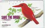 Télécarte Japon  OISEAU *  * BIRD * VOGEL (2849) PHONECARD JAPAN * TELEFONKARTE *  SAVE THE BIRDS * - Sperlingsvögel & Singvögel