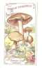 - Chromo Chocolaterie Aiguebelle Les Champignons Entolome Livide - Aiguebelle