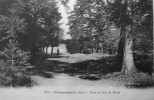 Dans Les Bois Du Stand - Champagnole