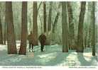 Canada - Winnipeg Manitoba - Cross-country Skiing At Assiniboine Park 1983 - Winnipeg