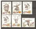 POLAND 1981 - HUNTING ANIMALS  - CPL. SET - USED OBLITERE GESTEMPELT USADO - Used Stamps
