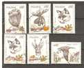 POLAND 1981 - HUNTING ANIMALS  - CPL. SET - USED OBLITERE GESTEMPELT USADO - Gebraucht