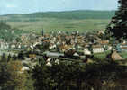 Carte Postale Allemagne Münsingen  Trés Beau Plan - Münsingen