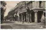 SETIF. - Boulevard Clemenceau.  CPSM 9x14 - Sétif