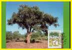 CM Du Bophuthatswana. Voir Scan. Parfait état + Prix Dégressif. - Bophuthatswana