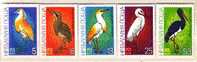 1981 BIRDS - EXPO 81  5 V.-  MNH BULGARIA / Bulgarie - Gibier