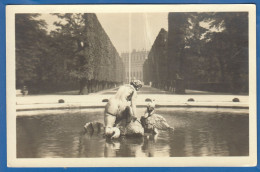 Österreich; Wien; Schönbrunn; Brunnen - Château De Schönbrunn