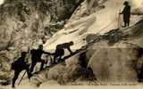 CHAMONIX...LES GRANDS MULETS...TRAVERSEE D'UNE CREVASSE...CPA ANIMEE - Klimmen