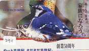 Télécarte Japon  OISEAU *  BIRD * VOGEL (2911) PHONECARD JAPAN * TELEFONKARTE * - Zangvogels