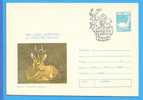 Romania 1980 Postal Stationery Cover. Protect Hunter. Deer - Gibier