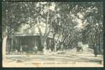 Delcampe - Aubagne - Cours Voltaire - Dh33 - Aubagne