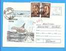 Romania 1996 Postal Stationery Cover. Whale Orca - Whales