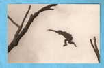 CPA - Gibbon Indo-chinois à Favoris Blancs - Parc Zoologique Du Bois De Vincennes - Paris - Monkeys