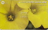 # ISRAEL 211 Yellow Anemone 50 Landis&gyr 01.99 -fleurs,flowers- Tres Bon Etat - Israël