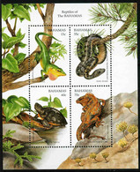 Bahamas 1996 MiNr. (Block 81) Fauna IV Reptiles Snakes Turtles S\sh MNH** 11.00 € - Turtles