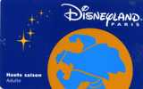 PASSEPORT DISNEY DISNEYLAND PASSEPORT HAUTE  SAISON ADULTE   VOIR SCANER RECTO ET VERSO - Disney Passports