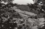 LANGENBRUCK (BASLER JURA) - Sonstige & Ohne Zuordnung