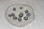 Dinosaur Egg Fossil   , Postal Stationery -- Articles Postaux (A49-11) - Fossielen