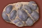 Dinosaur Egg Fossil   , Postal Stationery -- Articles Postaux (A49-12) - Fossili
