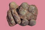 Dinosaur Egg Fossil   , Postal Stationery -- Articles Postaux (A49-15) - Fossielen