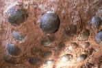 Dinosaur Egg Fossil   , Postal Stationery -- Articles Postaux (A49-21) - Fossili