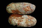 Dinosaur Egg Fossil   , Postal Stationery -- Articles Postaux (A49-42) - Fossielen