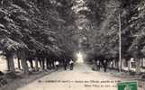 ARDRES AVENUE DES TILLEULS PLANTEE EN1766 EDIT BARAS VILLAY - Ardres