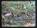 2084 Crabe Mangrove Manguezais Mare Aranides Heron Aigrette Zone Humide Bloc - Crustaceans