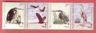 PURPLE HERON - Ardea Purpurea  ( Croatia Set Of 4. MNH** ) Egret Ardée Airone Garza ( World Wide Fund For Nature – WWF ) - Storchenvögel