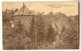 D2588 - Malmedy - Ruines De Rheinhardstein Et Le Restaurant - Malmedy