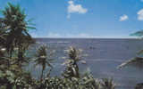 Ph CPSM Trinidad And Tobago (Antilles) Sea, Sky And Coconuts, Petit Format - Trinidad