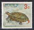 Tortuga, RYU KYU 1966.  3 Ctvos ** - Tortues