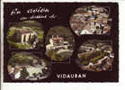 CPSM De Vidauban ( Var 83): Multivues - Vidauban