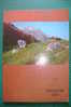 PDD/18 SCANDERE 1976 CAI-Club Alpino Torino/MONTAGNA/ALPINISMO/MONTE BIANCO/BARMELLE CHAMPORCHER - Turismo, Viaggi