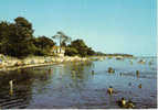 Andernos Les Bains La Plage Du Casino à Droite De L'estacade - Andernos-les-Bains