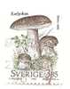 Sweden Mushrooms  1996 Y  3.85 Kr Used  (0) - Gebruikt