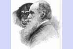 H-D- 23  ^^     Charles Darwin ,  Origin Of Species , ( Postal Stationery , Articles Postaux ) - Natur