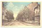 43 // LANGEAC - Avenue De La Gare, Combier édit, CIM, ** - Langeac