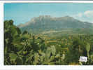 PO0433A# SARDEGNA - NUORO - MONTI D'OLIENA  No VG - Nuoro