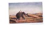 TH Illustrateur, Tuck Oilette, Elephants At Work, Elephant D'Asie, Transport De Tronc, Ed Tuck 8902/B, 191? - Tuck, Raphael