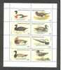 GUINEE EQUATORIALE  WATERVOGELS 1979 ** - Canards