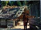 GUYANE - Village Indien - Autres & Non Classés