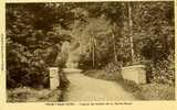 14  -  THURY-HARCOURT.  -  Chemin De Verdure De La Roche-Bunel -  BELLE CARTE  - - Thury Harcourt