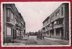 Maaseik - Maeseyck - Avenue Prinsenhof. Nels Bromurite. - Maaseik