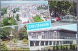 CP De CHELTENHAM " Bid's Eye View , Sanfort Park , The Promenade , New Swimming Baths " . - Cheltenham