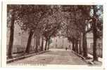 47 - LAVARDAC. Avenue De La Gare. - Lavardac