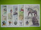 Russia USSR 1984 Animals Zoo Set Of 5x FDC , Maximum Cards # Birds - Affen