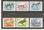 BULGARIA 1988  - SOFIA ZOO - CPL. SET - USED OBLITERE GESTEMPELT - Used Stamps